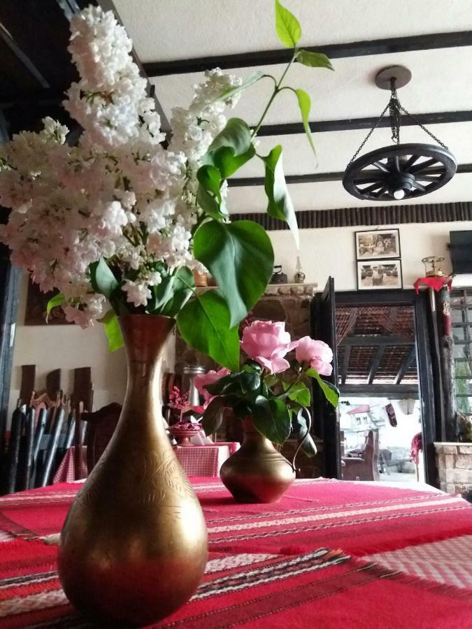 Guest House Tivko Katce גוסטיבר מראה חיצוני תמונה