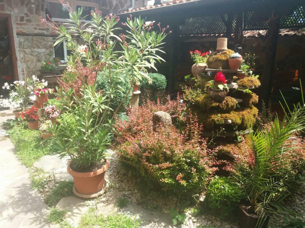 Guest House Tivko Katce גוסטיבר מראה חיצוני תמונה